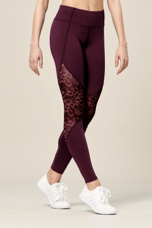 Bloch Ezra Animal Printed Mesh Panelled Full Length Tight Women's Bottoms Lavish | FILUI88060